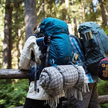 Вилла Diese Einfache Unterkunft- Bergheimat Ist Nur Fuer Backpacker- Rucksacktouristen Und Radfahrer - Huettenfeeling Im Backpackerhoues- Ganz Einfach - Ganz Unkompliziert - Ganz Relaxd Linthal Экстерьер фото