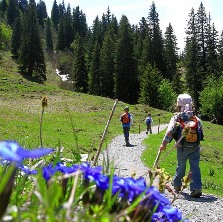 Вилла Diese Einfache Unterkunft- Bergheimat Ist Nur Fuer Backpacker- Rucksacktouristen Und Radfahrer - Huettenfeeling Im Backpackerhoues- Ganz Einfach - Ganz Unkompliziert - Ganz Relaxd Linthal Экстерьер фото